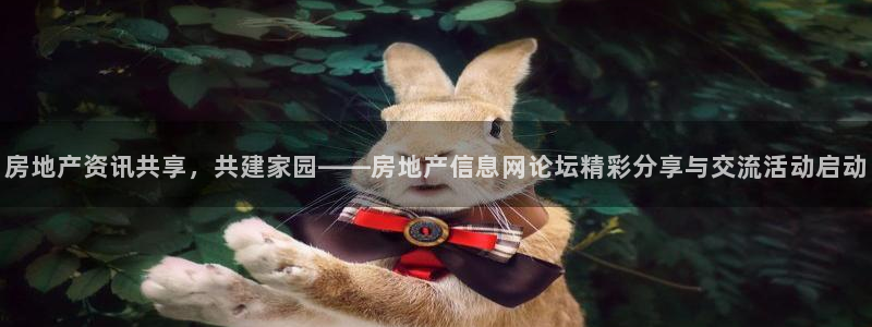 新宝h2O5O5O：房地产资讯共享，共建家园——房地产信息网