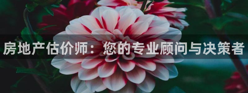 新宝5娱乐没