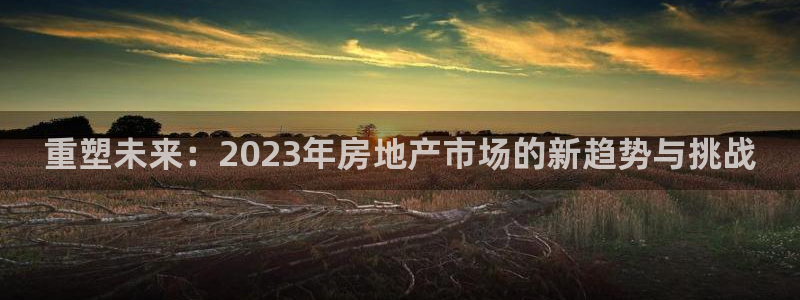 新宝5 注册：重塑未来：2023年房地产市场的新趋势与挑战