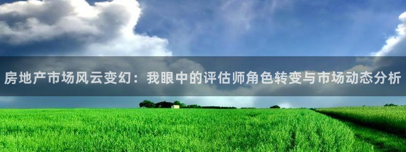 新宝5线路登录检测：房地产市场风云变幻：我眼中的评估师角色转