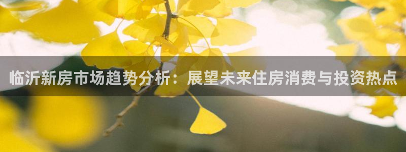 新宝5：临沂新房市场趋势分析：展望未来住房消费与投资热点