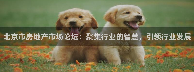 新宝5入口：北京市房地产市场论坛：聚集行业的智慧，引领行业发