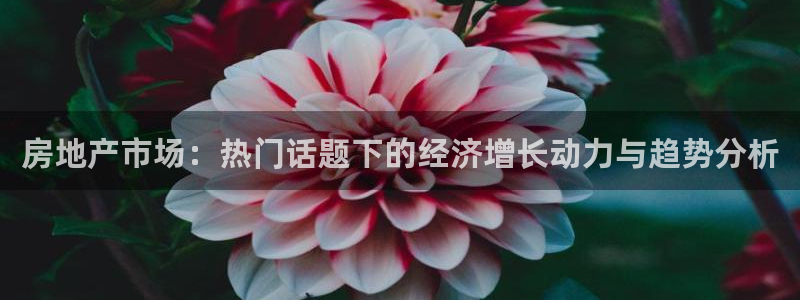 新宝rc_5w：房地产市场：热门话题下的经济增长动力与趋势分