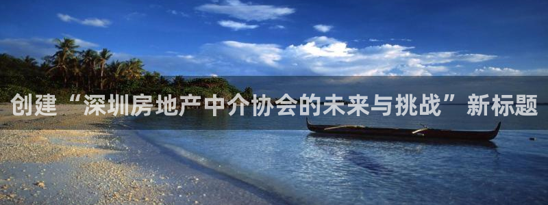 新宝5 测速：创建“深圳房地产中介协会的未来与挑战”新标题