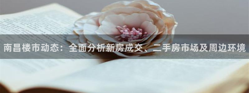 新宝5娱乐主管：南昌楼市动态：全面分析新房成交、二手房市场及
