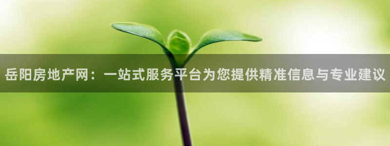 新宝5娱乐都：岳阳房地产网：一站式服务平台为您提供精准信息与