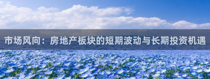 新宝5娱乐：市场风向：房地产板块的短期波动与长期投资机遇