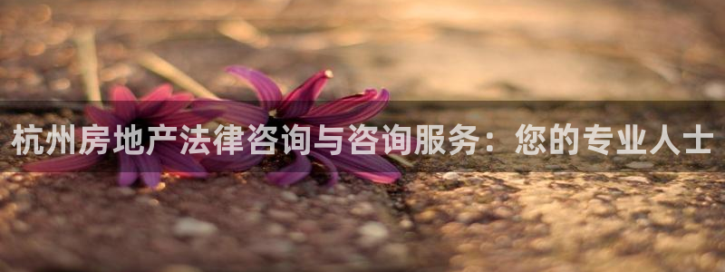 新宝5软件下载：杭州房地产法律咨询与咨询服务：您的专业人士