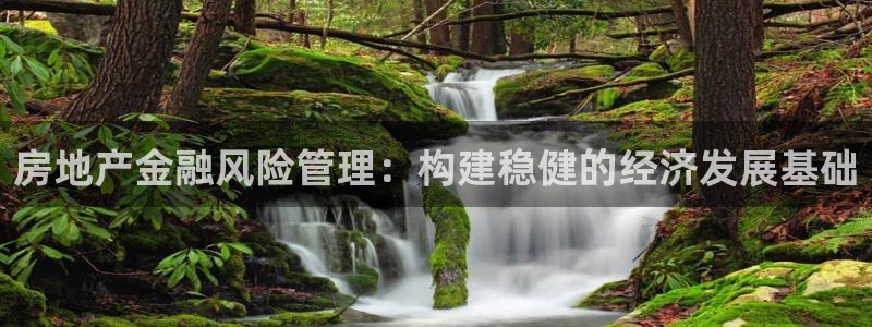 新宝5 唯一：房地产金融风险管理：构建稳健的经济发展基础