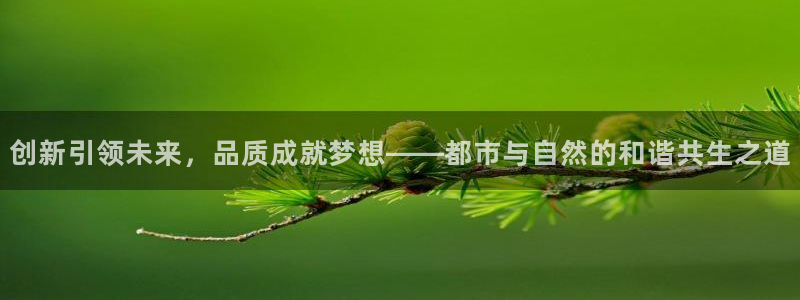 新宝5得74OOO5：创新引领未来，品质成就梦想——都市与自