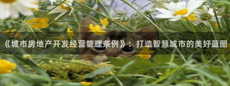 新宝5如何注册登录：《城市房地产开发经营管理条例》：打造智慧