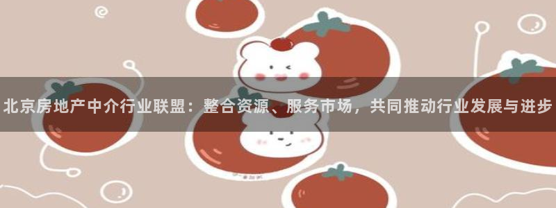 新宝5主管：北京房地产中介行业联盟：整合资源、服务市场，共同