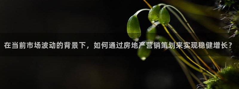 新宝5娱乐经：在当前市场波动的背景下，如何通过房地产营销策划