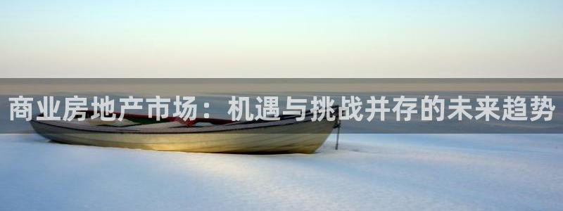 新宝5是什么：商业房地产市场：机遇与挑战并存的未来趋势