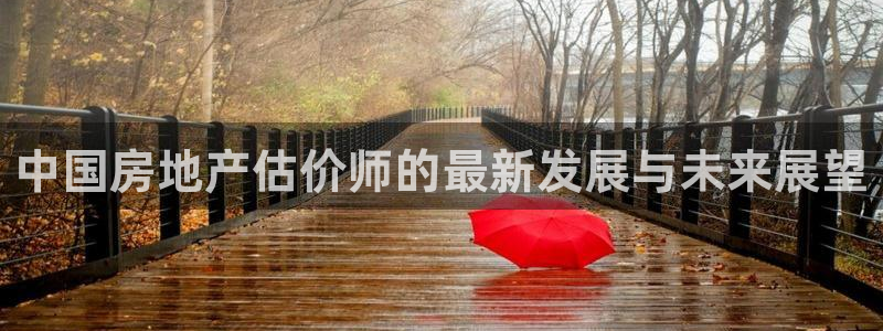 有人知道新宝5么：中国房地产估价师的最新发展与未来展望
