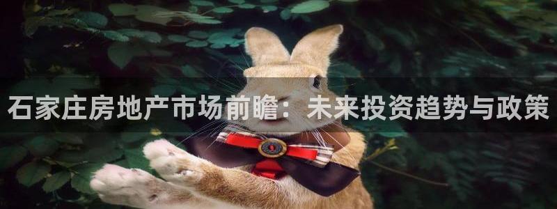 新宝5地址：石家庄房地产市场前瞻：未来投资趋势与政策