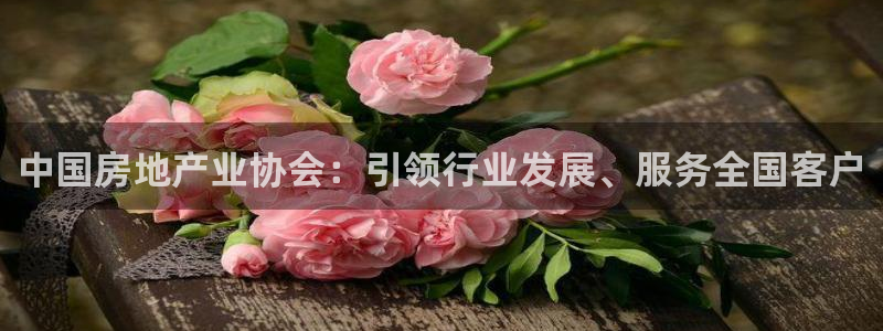 新宝5网址：中国房地产业协会：引领行业发展、服务全国客户