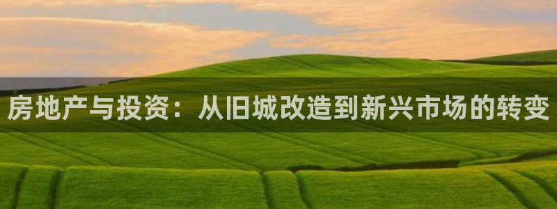 新宝5天：房地产与投资：从旧城改造到新兴市场的转变
