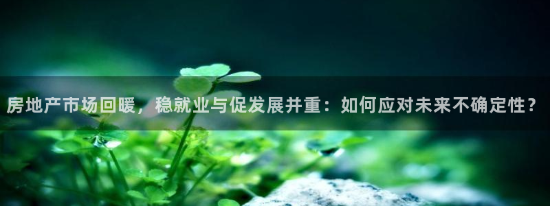 新宝娱乐5：房地产市场回暖，稳就业与促发展并重：如何应对未来
