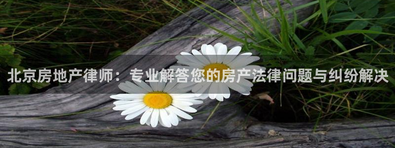 新宝5上来77542：北京房地产律师：专业解答您的房产法律问