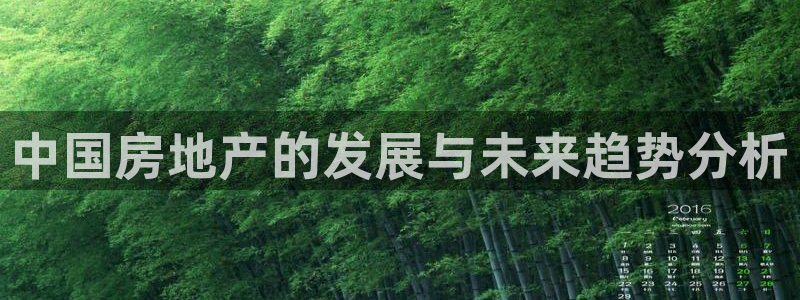 新宝5注册霸：中国房地产的发展与未来趋势分析