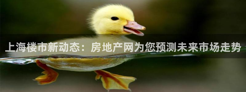 新宝5注册：上海楼市新动态：房地产网为您预测未来市场走势