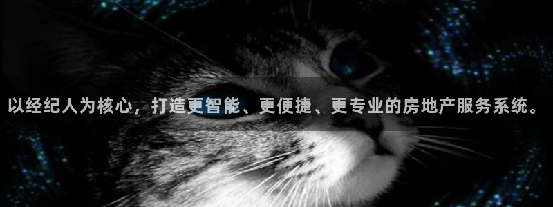 新宝5招商部：以经纪人为核心，打造更智能、更便捷、更专业的房