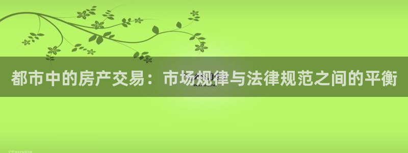 新宝5公司：都市中的房产交易：市场规律与法律规范之间的平衡