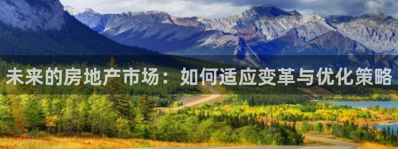 新宝rc_5w：未来的房地产市场：如何适应变革与优化策略