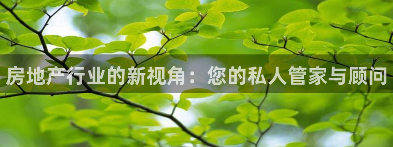 新宝5口67五壹叁八：房地产行业的新视角：您的私人管家与顾问