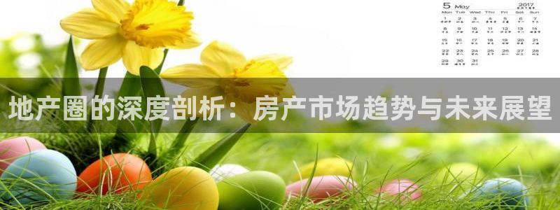 新宝5平台注册公司：地产圈的深度剖析：房产市场趋势与未来展望
