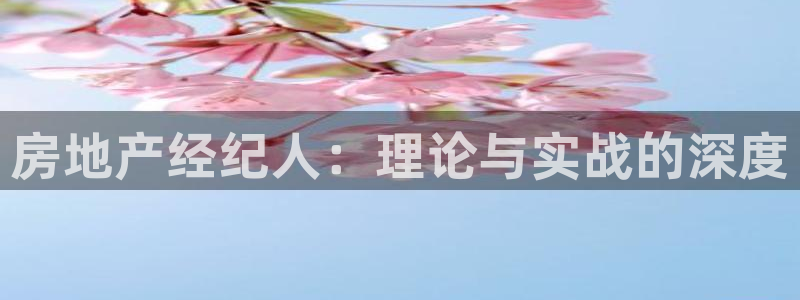 新5宝：房地产经纪人：理论与实战的深度