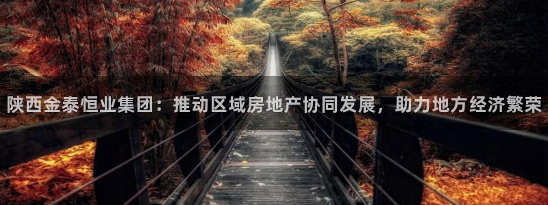 新宝5彩票是正规平台吗：陕西金泰恒业集团：推动区域房地产协同