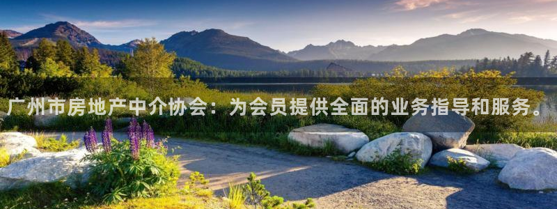新宝5是什么样子的
