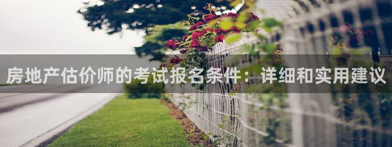 新宝娱乐5：房地产估价师的考试报名条件：详细和实用建议