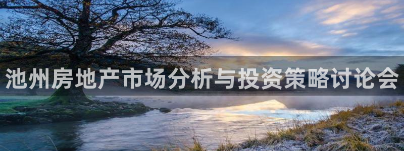 新宝5系列：池州房地产市场分析与投资策略讨论会