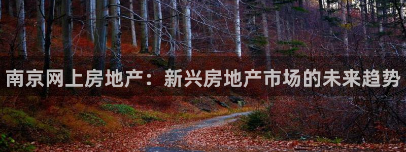 新宝5平台咋样：南京网上房地产：新兴房地产市场的未来趋势