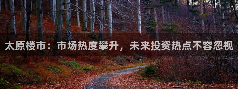 新宝娱乐5入口：太原楼市：市场热度攀升，未来投资热点不容忽视
