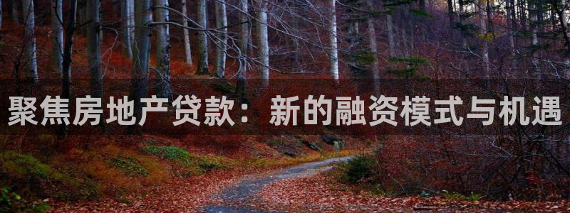 新5宝：聚焦房地产贷款：新的融资模式与机遇