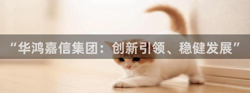 新宝5平台注册：“华鸿嘉信集团：创新引领、稳健发展”