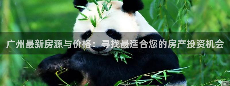 新宝5娱乐登陆：广州最新房源与价格：寻找最适合您的房产投资机