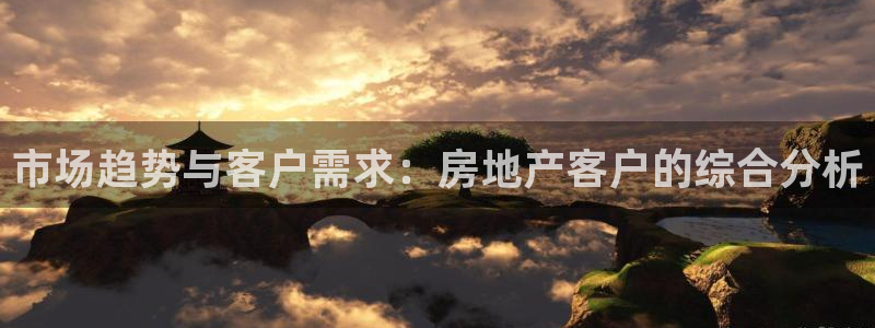 新宝5娱乐手机登录：市场趋势与客户需求：房地产客户的综合分析