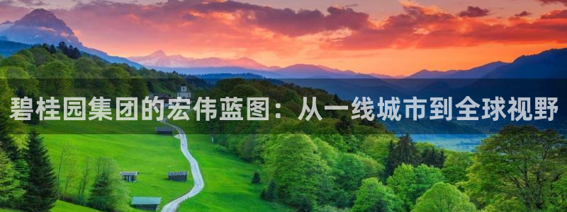新宝cR一5：碧桂园集团的宏伟蓝图：从一线城市到全球视野