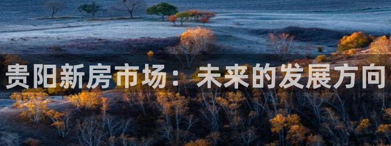 股票5G宝新：贵阳新房市场：未来的发展方向