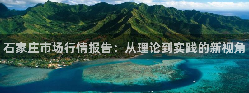 新宝m2O5O5O：石家庄市场行情报告：从理论到实践的新视角