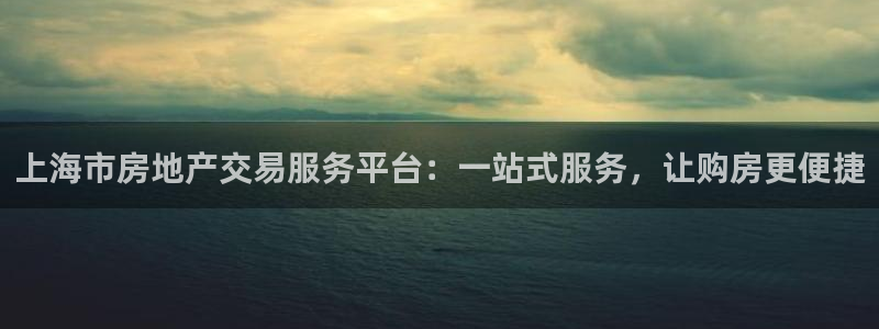 2022新宝骏rs 5：上海市房地产交易服务平台：一站式服务