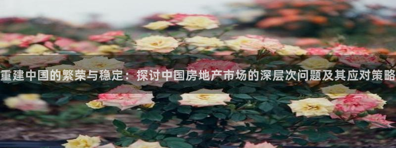 新宝5下载官方：重建中国的繁荣与稳定：探讨中国房地产市场的深