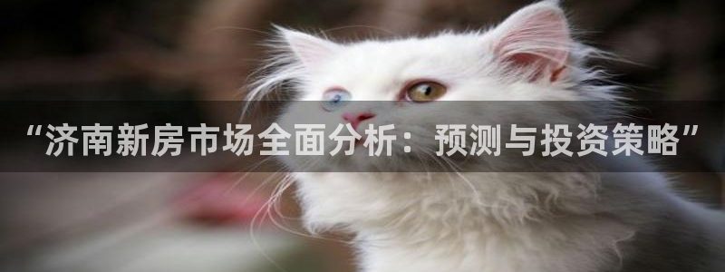 新宝5是谁的：“济南新房市场全面分析：预测与投资策略”
