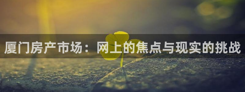 新宝5测速在线：厦门房产市场：网上的焦点与现实的挑战