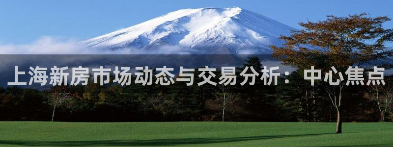 新宝骏rc5W：上海新房市场动态与交易分析：中心焦点